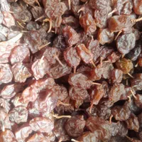 کشمش‌‌ عمده حمید|خوردنی و آشامیدنی|گلستان (تهران), |دیوار