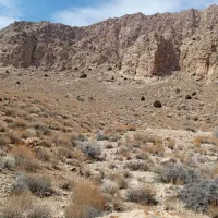 فروش زمین 110 متری قرق خیابان قلی اباد فرهنگ 7