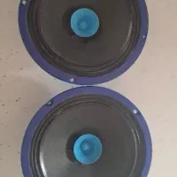 میدرنج پانتک