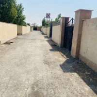 فروش باغچه 320 متری رامجین