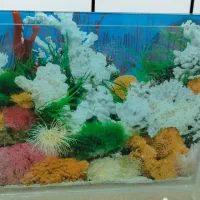 اکواریوم شرکتی شیشه خم