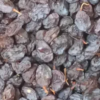 مویز بش دشمن زیاری