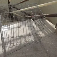 قفس پرنده|لوازم جانبی حیوانات|شاهین‌شهر, شهرک ردانی پور|دیوار