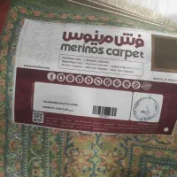 فرش|فرش|مشهد, آزادشهر|دیوار