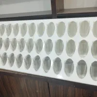 استند ۳۹ خانه ام دی اف