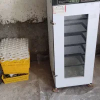 دستگاه جوجه کشی