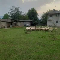 فروش ۵۰۰۰ متری صنعتی و تجاری خشکنودهان