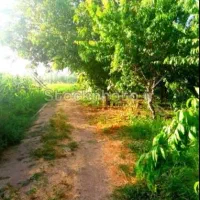 زمین به متراژ 200 متر هروی