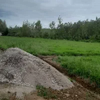 ۲۵۰ متر زمین باغی داخل طرح هادی، بر آسفالت|فروش زمین و ملک کلنگی|صومعه‌سرا, |دیوار