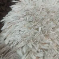 فرش فانتزی اصل ترکیه تخفیف تا۱۰روز فقط ۱۲۰۰|فرش|سهند, |دیوار