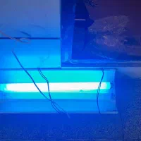 لامپ زردی|لامپ و چراغ|محمدیه-قزوین, |دیوار