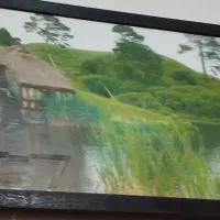 تابلو طبیعت چراغ دار سالم