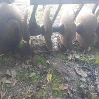 دیکس باغی ۲۰پر جفت بلبرینگ مقدسی|ماشینآلات صنعتی|فاضل آباد, |دیوار