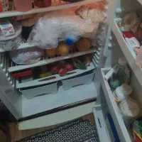 یخچال فریزر الکترو لوکس در حال استفاده|یخچال و فریزر|رشت, سعدی (تختی)|دیوار