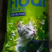 غذای خشک سگ