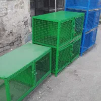 فروش کبوتر دوکتی سرخ|پرنده|خمینی‌شهر, |دیوار