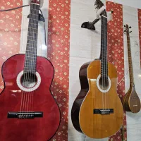 گیتار وفایی mv2|گیتار، بیس، امپلیفایر|لردگان, |دیوار