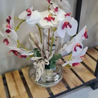 گل رومیزی خارجی  (ترکیبی)