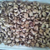 فروش عمده انجیر تازه و ارگانیک فارس|خوردنی و آشامیدنی|اهواز, پردیس|دیوار