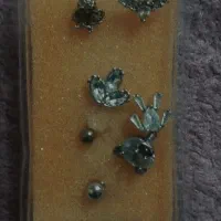 پیرسینگ|بدلیجات|کرج, المهدی|دیوار