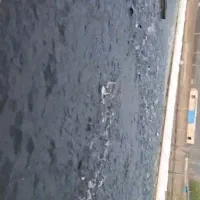 فروش بچه ماهی قزل آلا