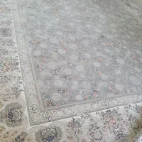 فرش در حد نو ۱۵۰۰ شانه|فرش|شیراز, کوشک میدان|دیوار