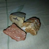 سنگ های کمیاب گوشتی و صخره ای