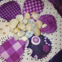 فروش سنگ قیمتی