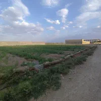 فروش چهار دیواری باغ۶۲۰ متری در قهجاورستان|فروش زمین و ملک کلنگی|اصفهان, قهجاورستان|دیوار