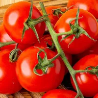 انگور عسگری و گوجه|خوردنی و آشامیدنی|قم, قلعه کامکار|دیوار