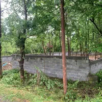 زمین خوش‌قواره و تمام مسکونی|فروش زمین و ملک کلنگی|لاهیجان, بازکیاگوراب|دیوار