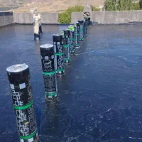 ایزوگام انگوتی