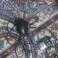 دزدگیر|قطعات یدکی و لوازم جانبی|رباط‌کریم, الارد|دیوار