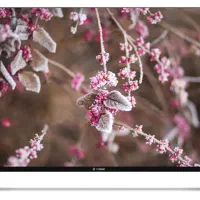 جشنواره طلایی خرید بدون پیش پرداخت تلویزیون اسنوا