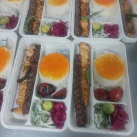 نیروی فعال کبابی