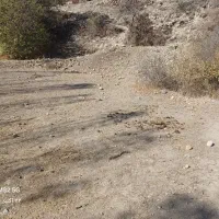 فروش زمین ییلاقی ابگرم لاریجان