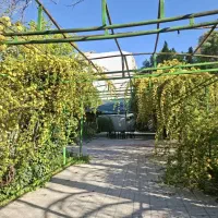 خوابگاه-دخترانه-بهاران