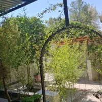 اگهی جذب نیرو کافه فست فود