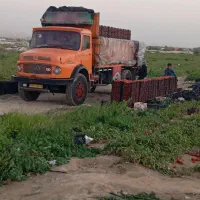 بنز تک فروشی