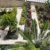 باغبانی متخصص گل و گلکاری هرس کاری تعویض خاک گلدون