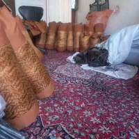 تولیدی متکا بالش|رختخواب، بالش، پتو|تبریز, |دیوار