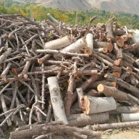 چوب هیزم باغی تیر سقفی چنار