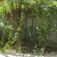 45-متری-الهیه-15-املاک-کرامتی