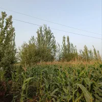 در نزدیک ترین نقطه به شهر باغ