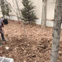 هرس و پاکنی و سم پاشی