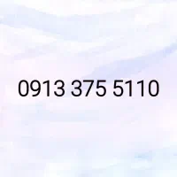 ۰۹۱۳۳۷۵۵۱۱۰