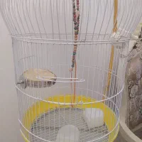 قفس پایه دار بلند