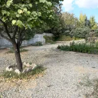 ۱۰۰۰ متر باغ ۱۵۰ متر سند شش دانگ کردان کوهسار|فروش خانه و ویلا|کوهسار (البرز), |دیوار