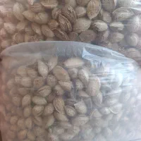 فروش ویژه انواع بادام سنگی وکاغذی امسالی وبومی|خوردنی و آشامیدنی|مهریز, |دیوار