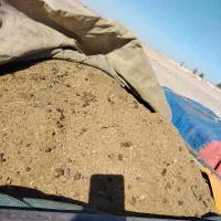 کود حیوانی برای کشاورزی